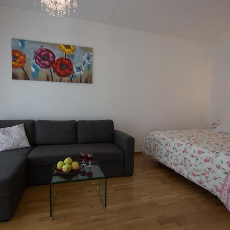 Kueueni 5B Apartment タルトゥ エクステリア 写真